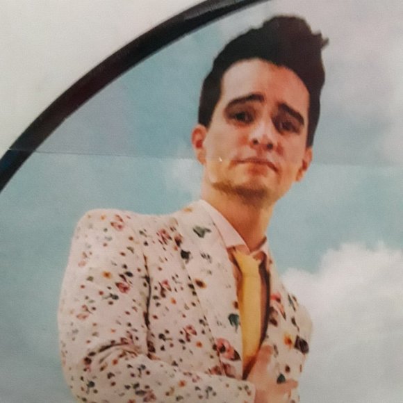 Taylor Swift, ME! Single - 12 Inch Picture Vinyl Record - Limited Edition, EUC - Picture 8 of 12